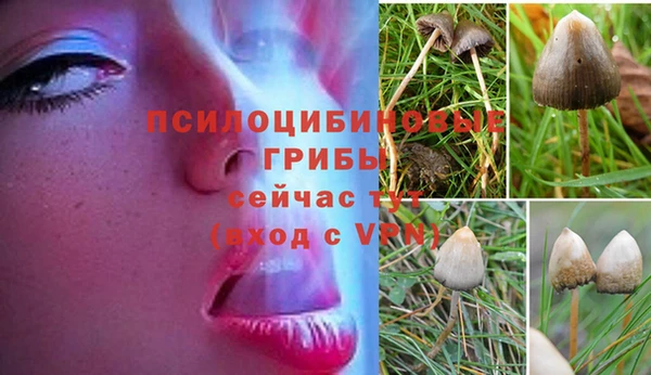 экстази Краснотурьинск