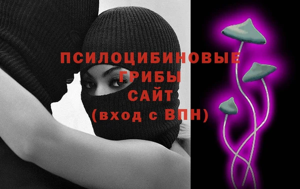 гашик Алексин