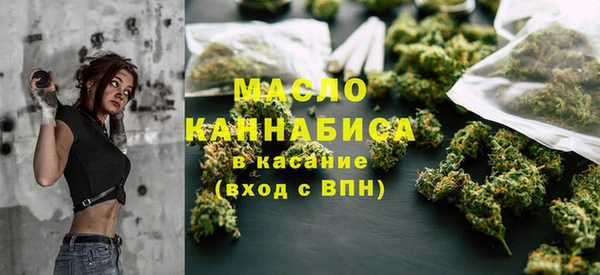 гашик Алексин