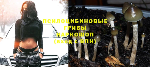 соль курить ск Алексеевка
