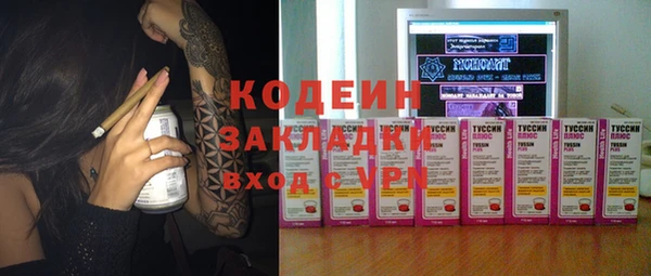 гашик Алексин