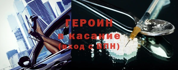 гашик Алексин